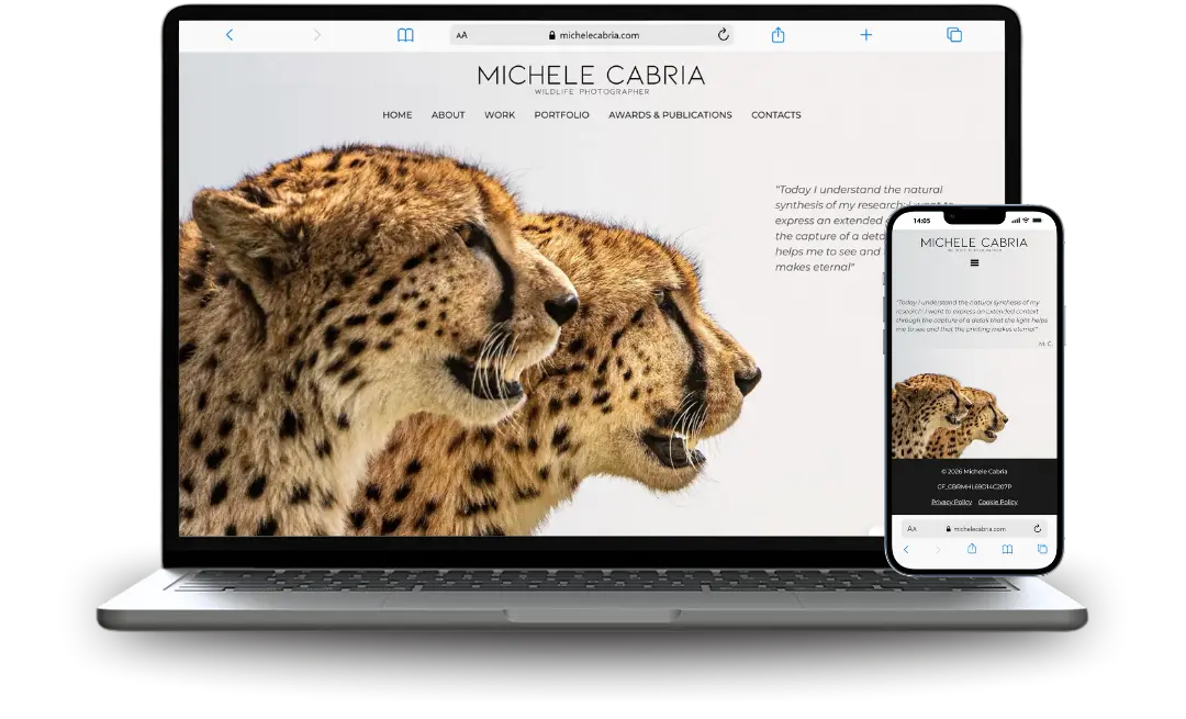 michelecabria.com